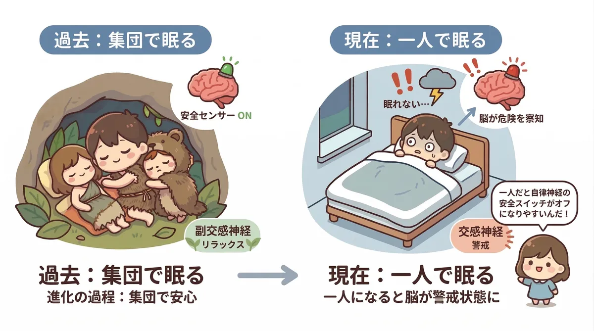 人間は本来誰かのそばで眠るように進化してきた生き物であり、一人になると自律神経の「安全スイッチ」がオフになりやすく、脳が警戒状態に入ってしまう仕組みを解説します。