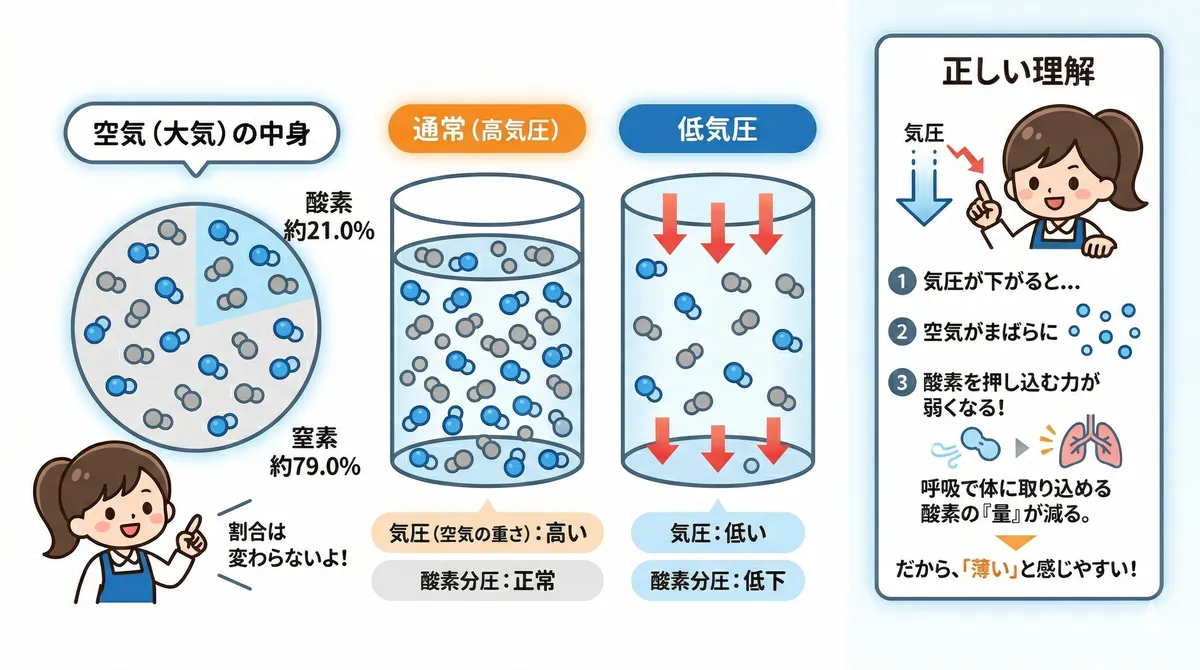 気圧と酸素分圧の関係を正しく理解し、「低気圧＝酸素不足」という誤解を科学的に解きほぐします。