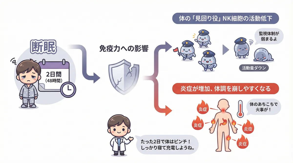 体の「見回り役」NK細胞の活動が落ちること、炎症が増えて体調を崩しやすくなることなど、免疫への具体的な影響を説明します。