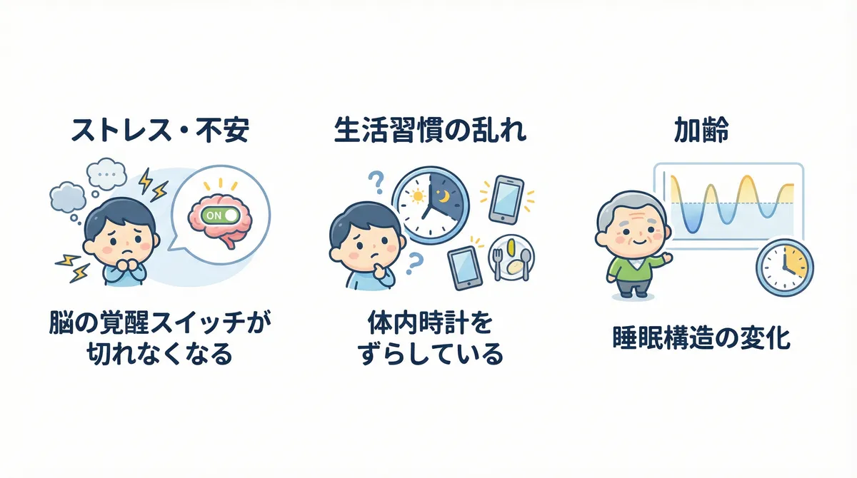 ストレスや不安が脳の覚醒スイッチを切れなくすること、生活習慣の乱れが体内時計をずらすこと、加齢による睡眠構造の変化について整理します。