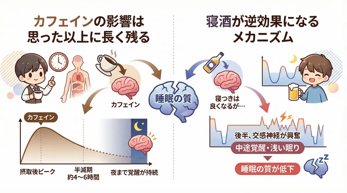 カフェインの影響は思った以上に長く残ること、寝酒が逆効果になるメカニズムを解説します。