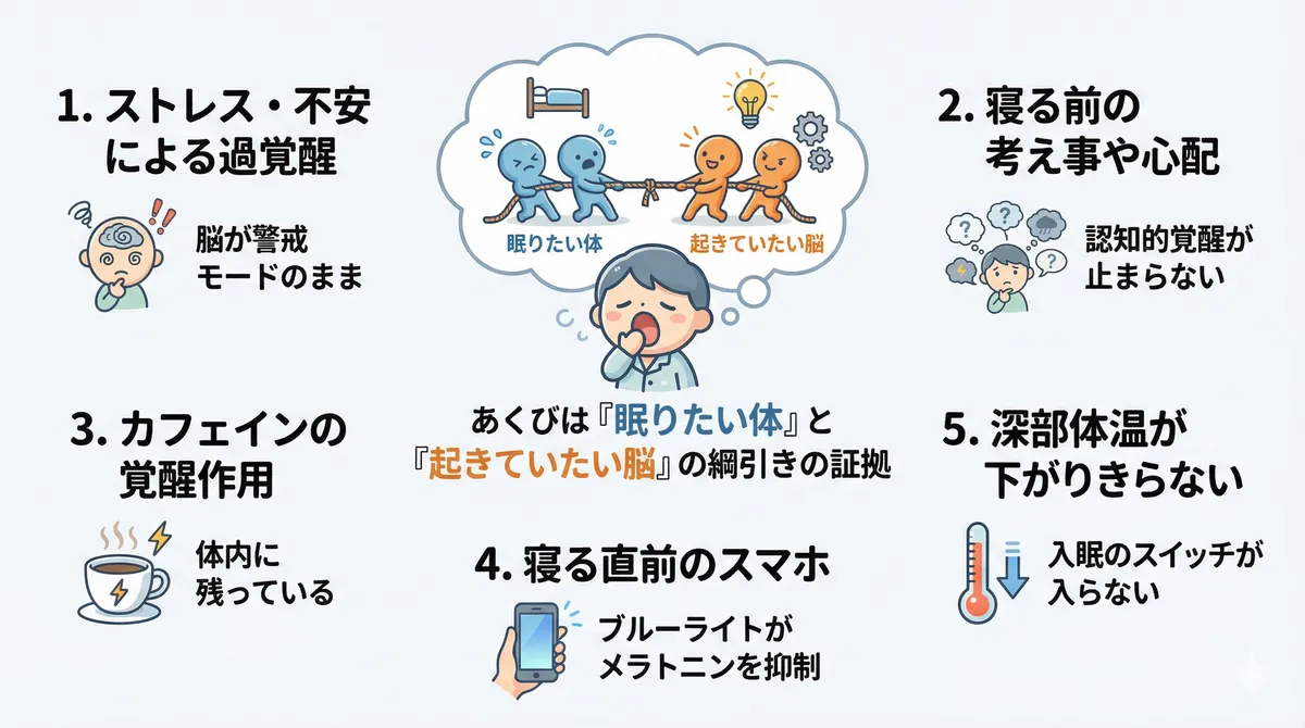 あくびは「眠りたい体」と「起きていたい脳」の綱引きの証拠であり、覚醒系が優位になる主な原因は5つあることを解説します。