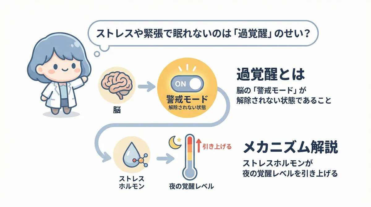 過覚醒とは脳の「警戒モード」が解除されない状態であること、ストレスホルモンが夜の覚醒レベルを引き上げるメカニズムを解説します。