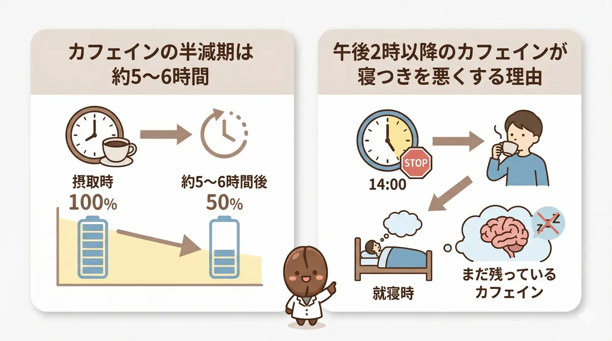 カフェインの半減期は約5〜6時間であること、午後2時以降のカフェインが寝つきを悪くする理由を解説します。