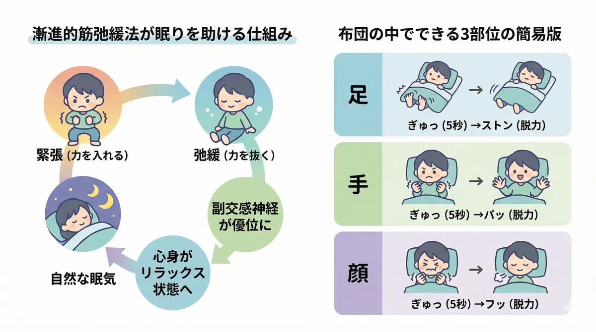 漸進的筋弛緩法が眠りを助ける仕組みと、布団の中でできる3部位の簡易版を紹介します。