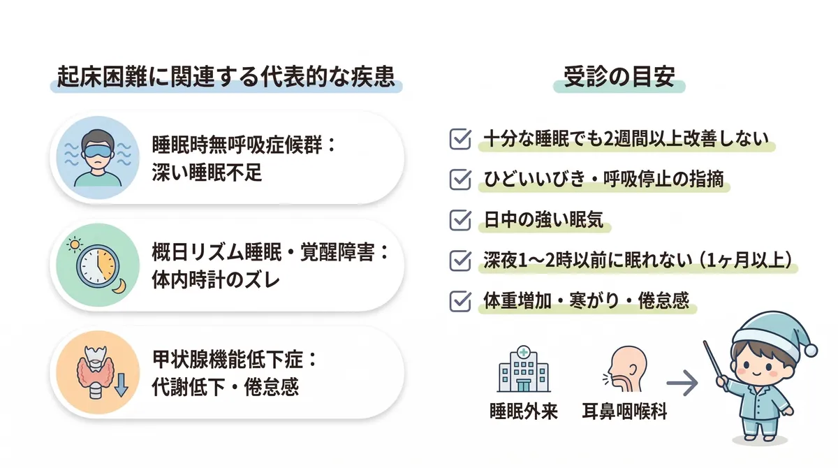 起床困難に関連する代表的な疾患と、睡眠外来や耳鼻咽喉科への受診を考えるべき症状を案内します。