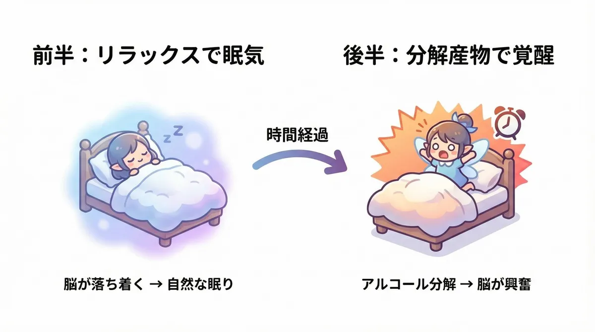 前半はリラックスの仕組みが働いて眠気が来るが、後半はアルコールの分解産物が覚醒を引き起こすメカニズムを解説します。