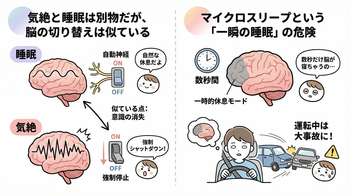 気絶と睡眠は別物だが脳の切り替えは似ていること、マイクロスリープという「一瞬の睡眠」の危険性を説明します。