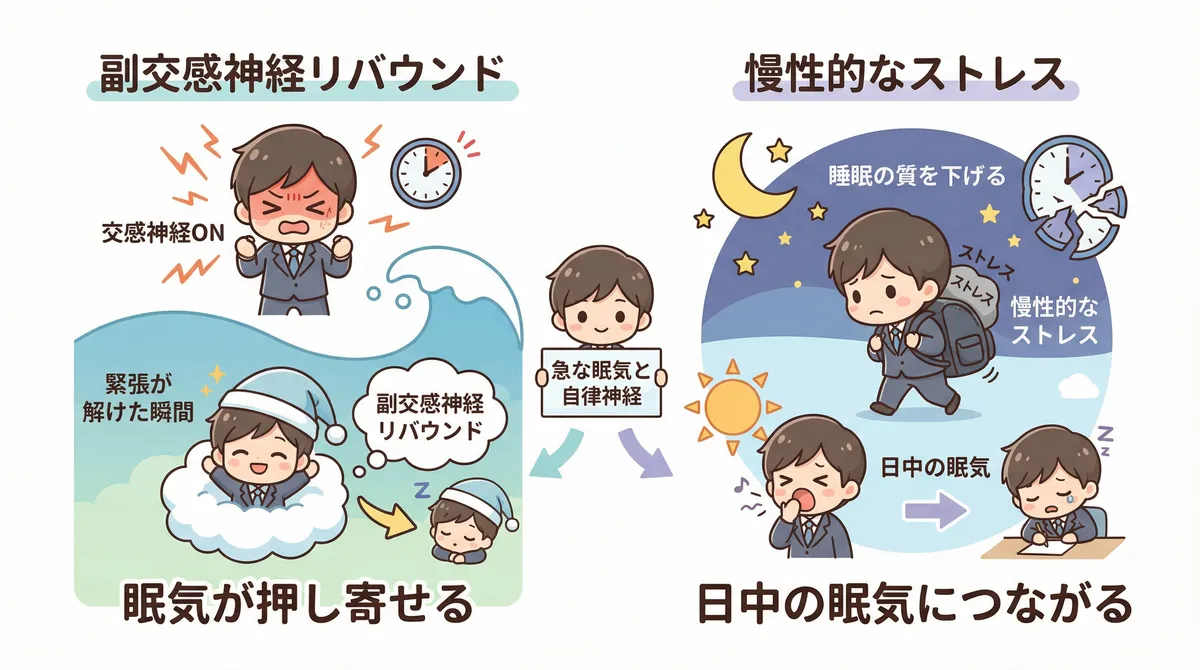 緊張が解けた瞬間に眠気が押し寄せる「副交感神経リバウンド」と、慢性的なストレスが日中の眠気につながる仕組みを解説します。