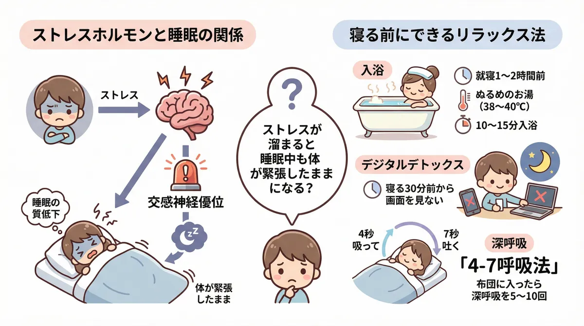 ストレスホルモンと睡眠の関係、寝る前にできるリラックス法を解説します。
