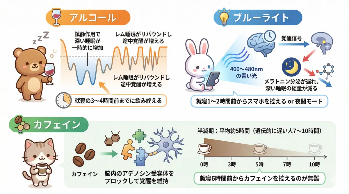 アルコールが睡眠の後半を壊す仕組み、ブルーライトがメラトニンを抑制する仕組み、カフェインの半減期と控えるタイミングを解説します。
