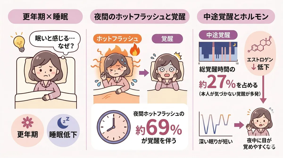 ホットフラッシュが眠りを妨げるメカニズムを解説します。