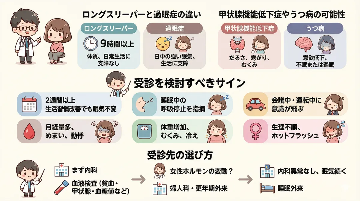 ロングスリーパーと過眠症の違い、甲状腺機能低下症やうつ病の可能性、受診を検討すべきサインと受診先の選び方を案内します。