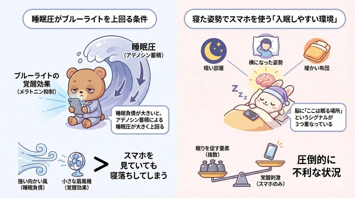 睡眠圧がブルーライトの覚醒効果を上回る条件と、寝た姿勢でスマホを使う入眠しやすい環境の問題を解説します。