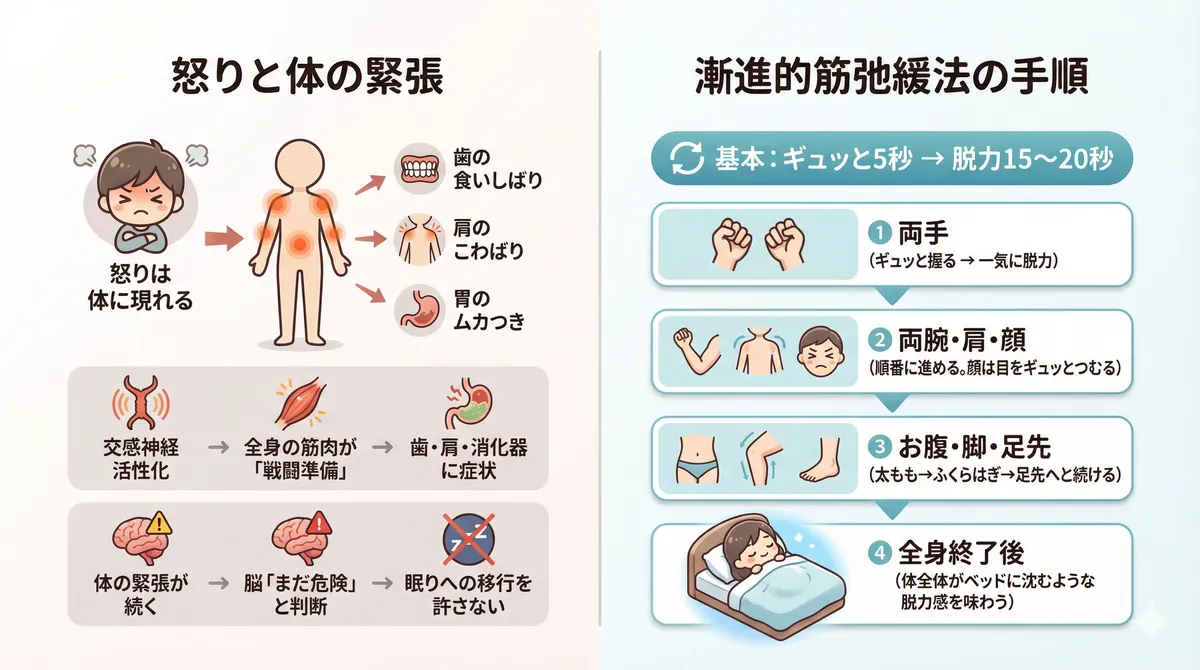 怒りは体にも現れ歯の食いしばりや肩のこわばりを引き起こすこと、漸進的筋弛緩法の手順を解説します。