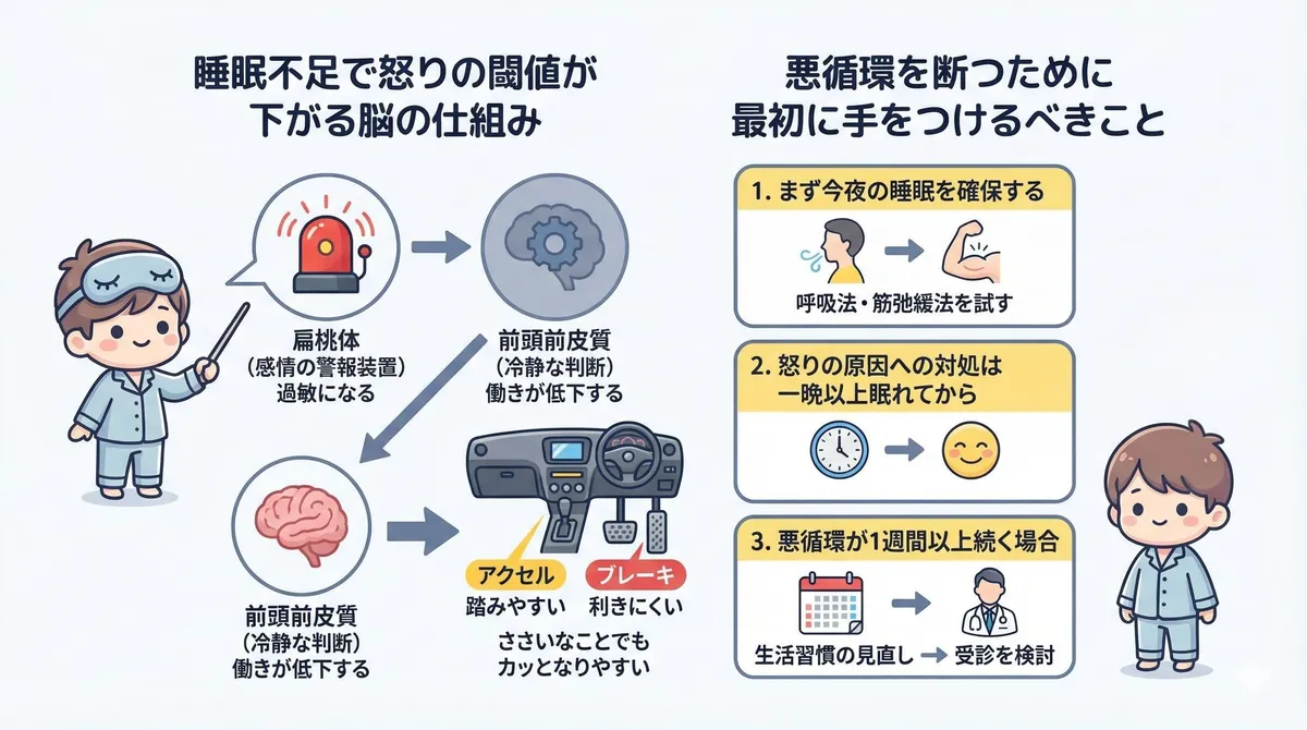 睡眠不足で怒りの閾値が下がる脳の仕組みと、悪循環を断つために最初に手をつけるべきことを解説します。