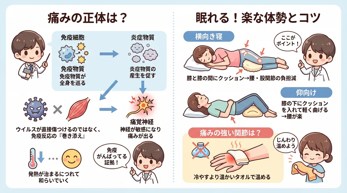 痛みの正体は免疫が放出する炎症物質であること、楽な体勢を見つける枕とクッションの使い方を解説します。