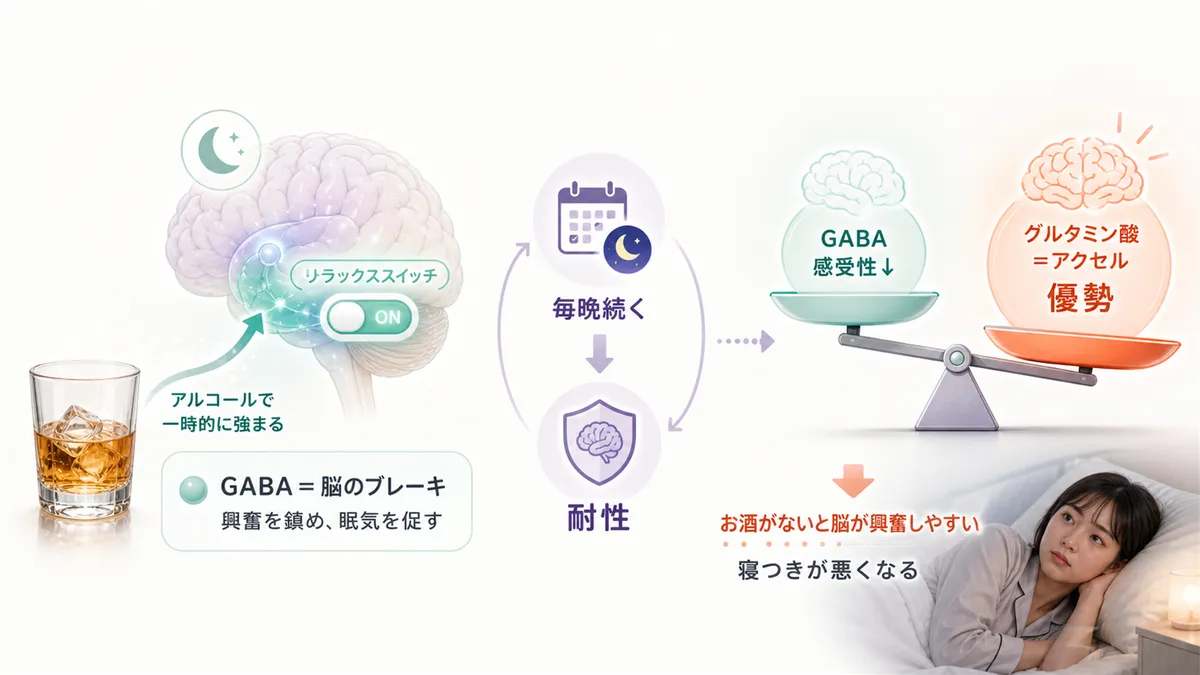 脳の「リラックススイッチ」とアルコールの関係、耐性が生じると脳のバランスが崩れるメカニズムを説明します。