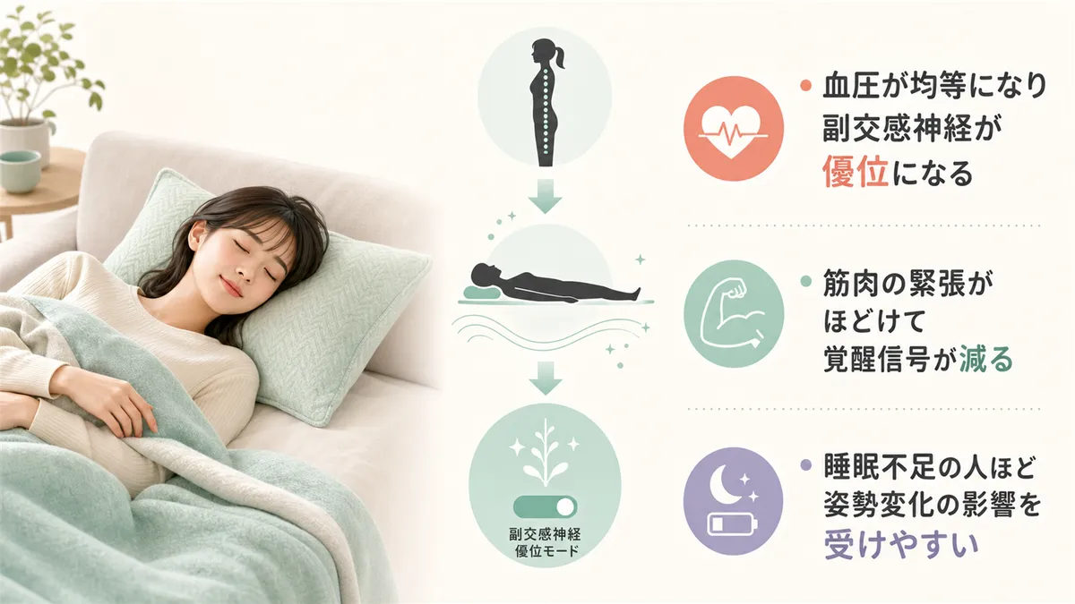 血圧の変化や筋肉の緊張がほどけることで副交感神経が優位になること、睡眠不足の人ほど姿勢変化の影響を受けやすいことを解説します。