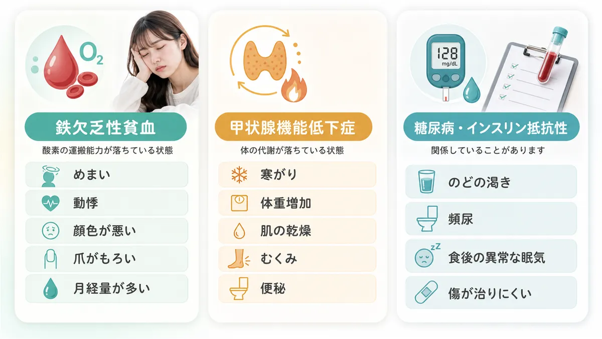 鉄欠乏性貧血、甲状腺機能低下症、糖尿病やインスリン抵抗性など、眠気と疲労が重なる場合に考えられる原因を紹介します。