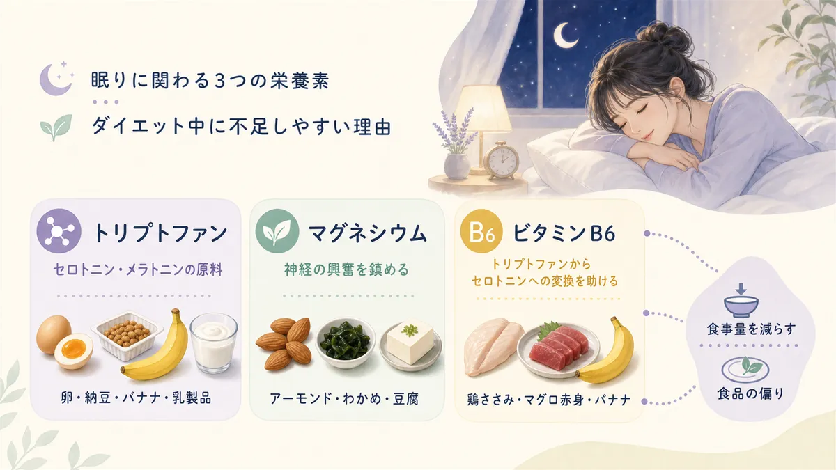 眠りに関わる3つの栄養素とダイエット中に不足しやすい理由を紹介します。