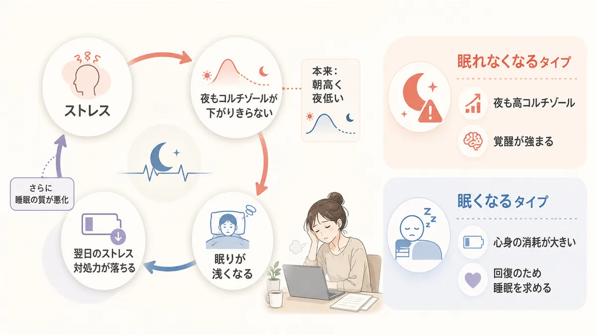 ストレスから始まる睡眠の質低下と眠気の悪循環、「眠れなくなる人」と「眠くなる人」の違いを解説します。（眠れなくなる人と眠くなる人の違い：眠れなくなる人＝コルチゾールが夜も高い状態が続き覚醒が強まるパターン、眠くなる人＝慢性ストレスによる心身の消耗が大きく体が回復のためより多くの睡眠を求めるパターン）