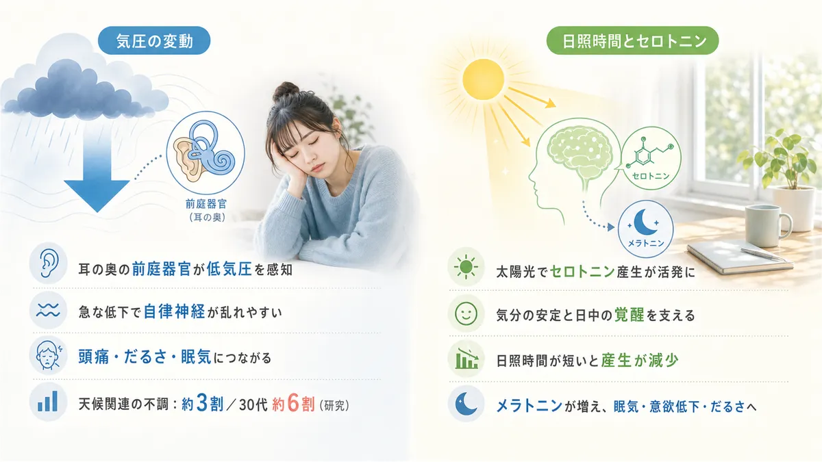 気圧の変動が体に与える影響と、日照時間とセロトニンの関係を解説します。
