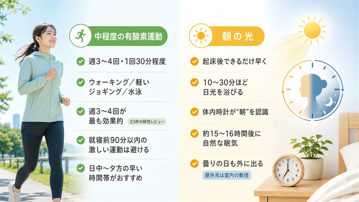 中程度の有酸素運動が覚醒と睡眠のメリハリをつくること、朝の光で体内時計をリセットする方法を解説します。