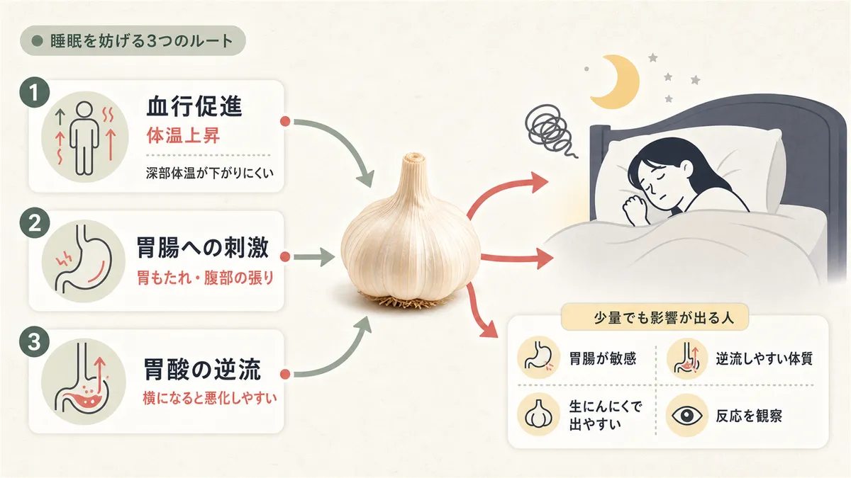 にんにくが睡眠を妨げる3つのルートと、「少し食べただけ」でも影響が出る人がいる理由を解説します。