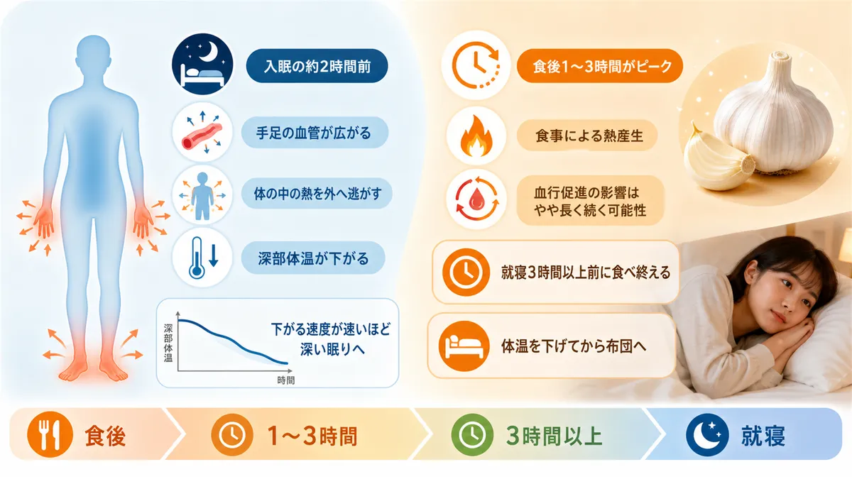 入眠に必要な深部体温の低下メカニズムと、にんにくの体温上昇がどのくらい続くのかを解説します。