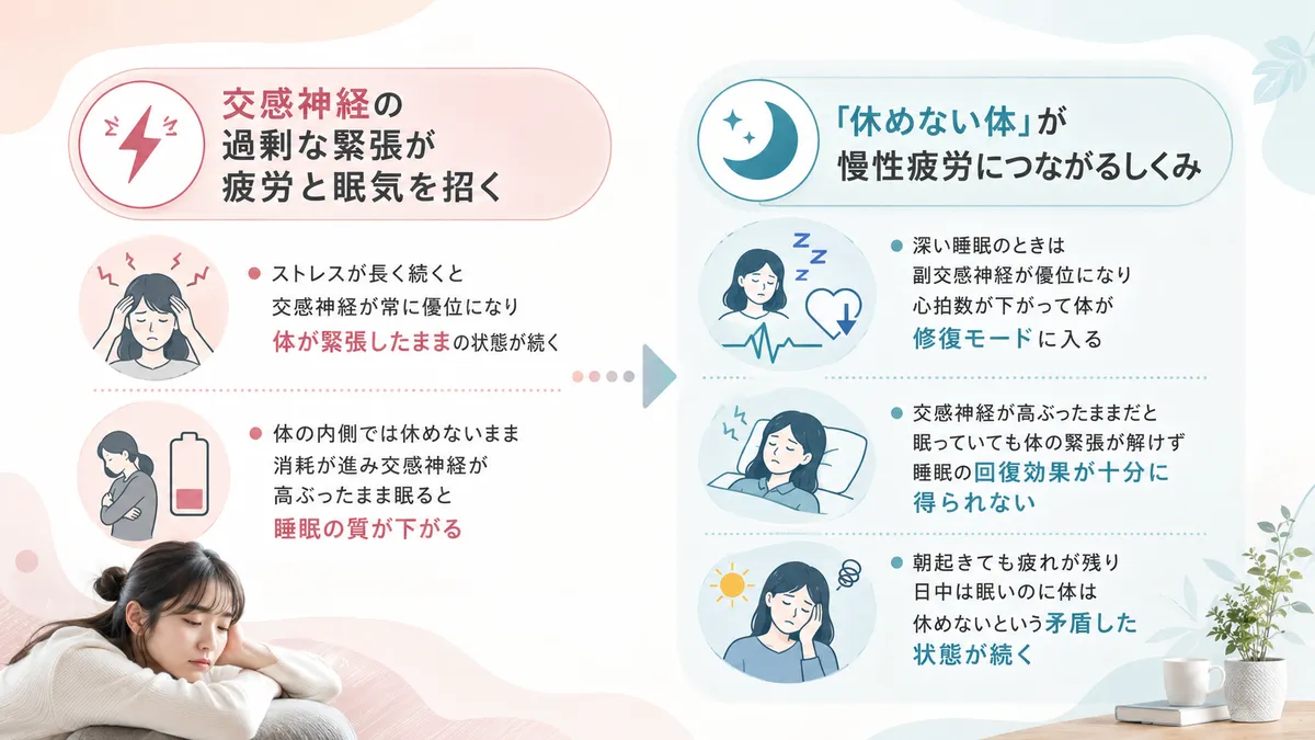 交感神経の過剰な緊張が疲労と眠気を招くこと、「休めない体」が慢性疲労につながるしくみを説明します。