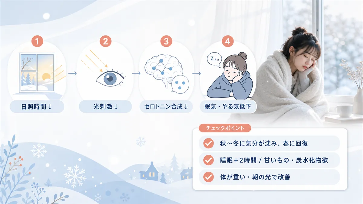 日照時間の減少がセロトニン合成を鈍らせること、季節性感情障害（冬季うつ）のチェックポイントを紹介します。