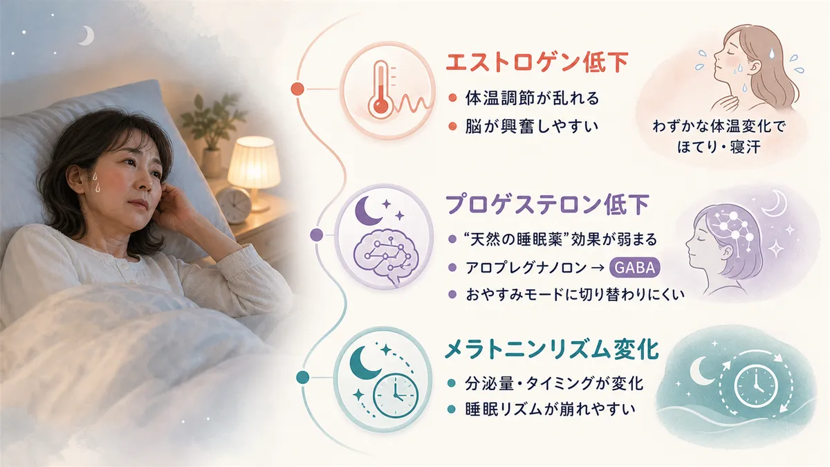 エストロゲンの減少が体温調節を狂わせること、プロゲステロンの「天然の睡眠薬」効果が弱まること、メラトニンの分泌リズムも変化することを解説します。