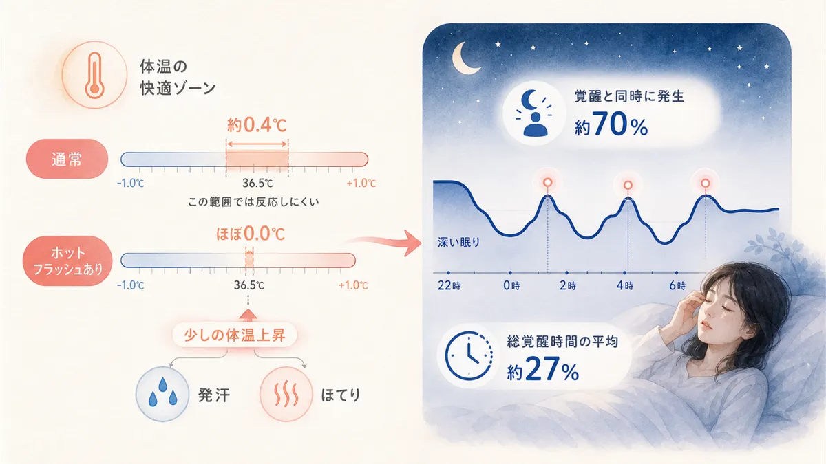 体温の快適ゾーンが狭くなるとホットフラッシュが起きること、夜間のホットフラッシュが睡眠を断片化する仕組みを解説します。
