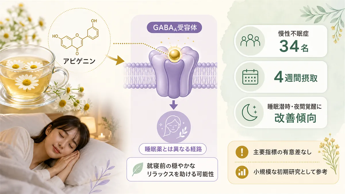 アピゲニンが「体のリラックス受容体」に働きかける仕組みと、カモミールの研究で分かってきたことを解説します。