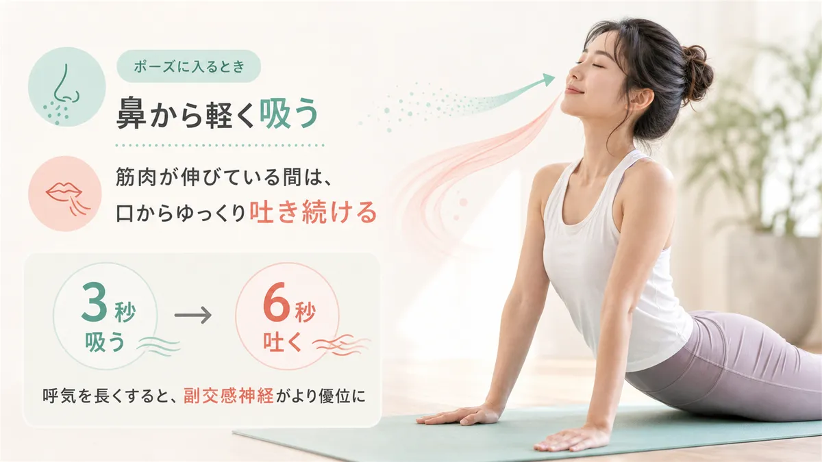 ストレッチ効果を高める呼吸の意識の仕方を解説します。