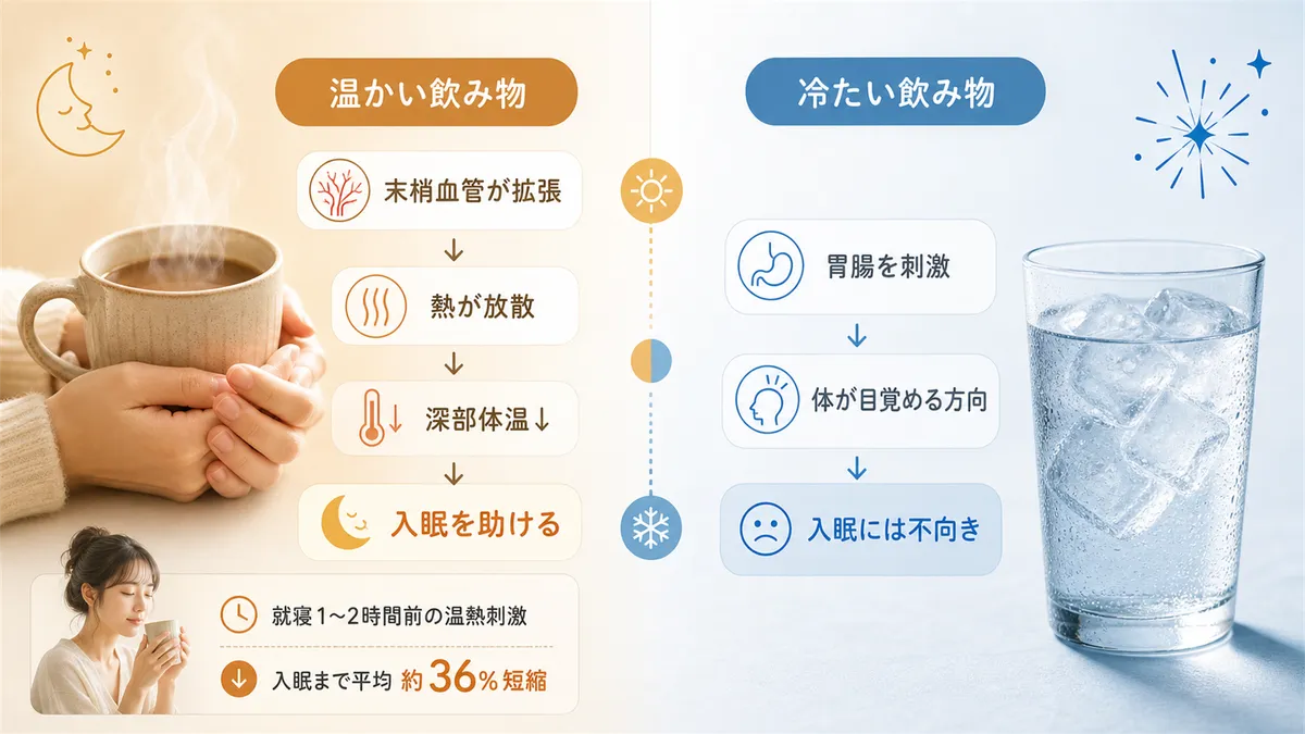 温度の違いが入眠に与える影響を解説します。（温かい飲み物：末梢血管が拡張して深部体温が下がりやすくなり入眠を助ける。冷たい飲み物：胃腸を刺激して体が目覚める方向に働く可能性があり不向き）