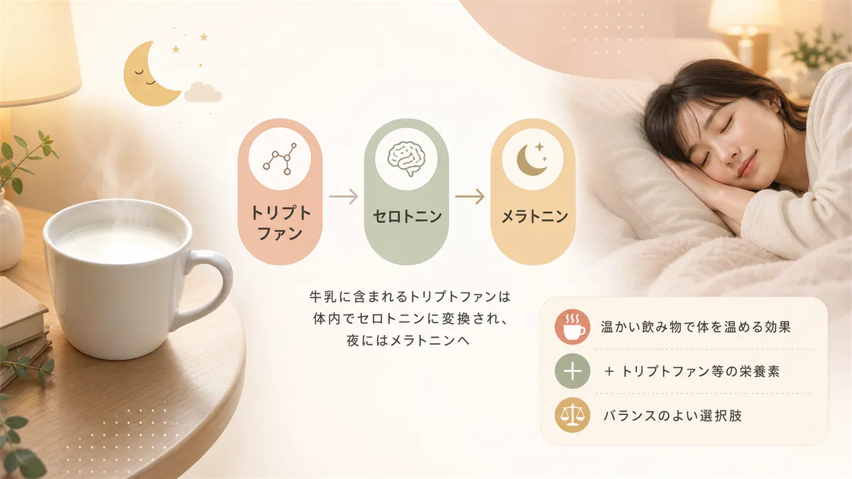 ホットミルクの睡眠効果の根拠を解説します。