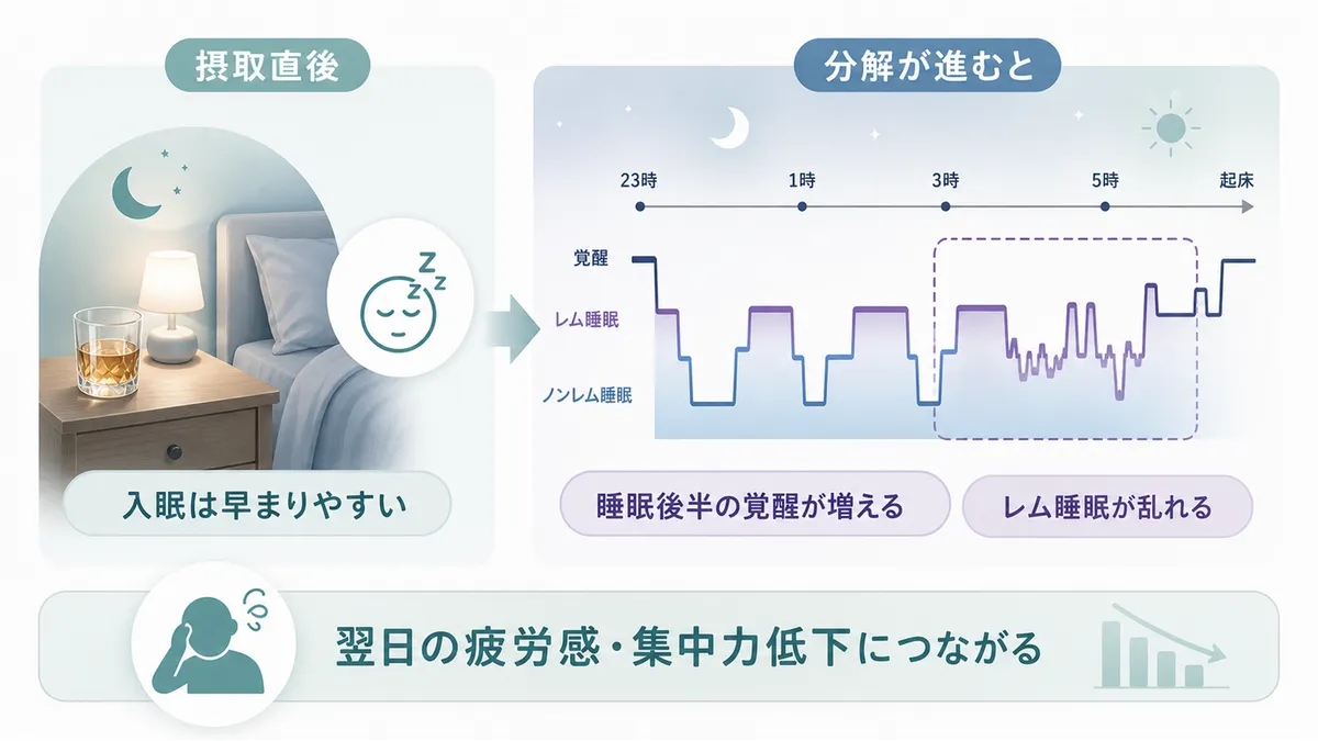 寝酒が逆効果である理由を解説します。