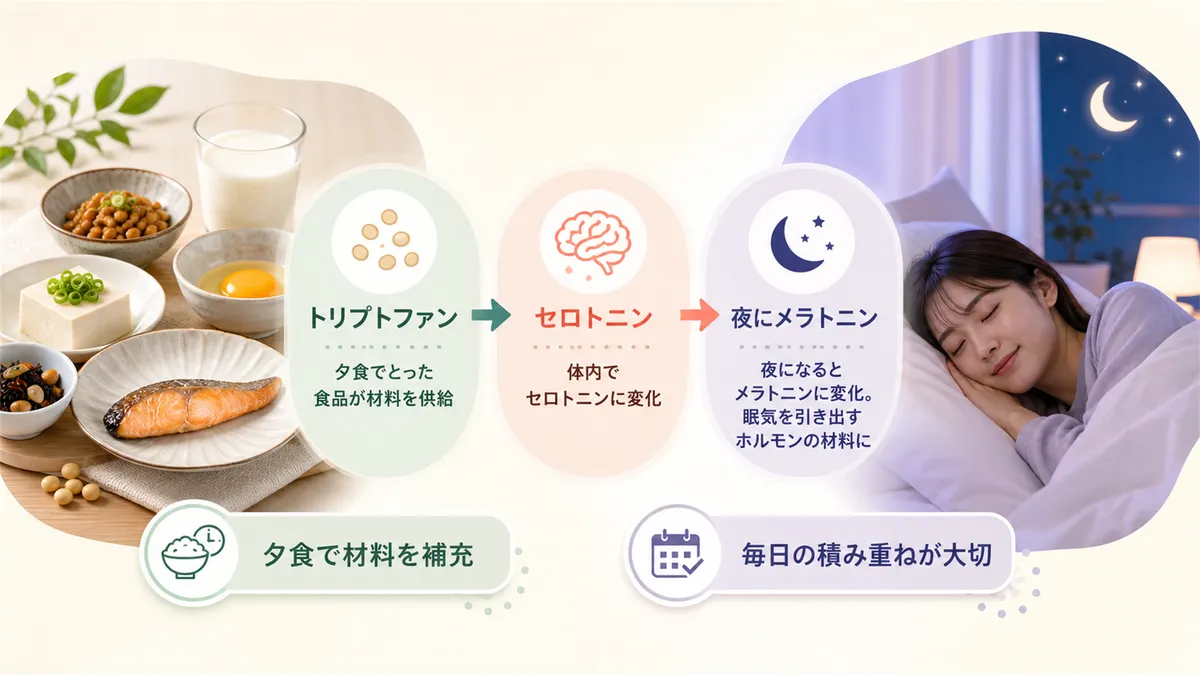 食べ物と睡眠の関係の概要を解説します。