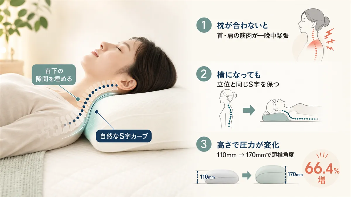 枕の役割は首の下の隙間を埋めて頸椎の自然なS字カーブを保つことであり、その仕組みを解説します。