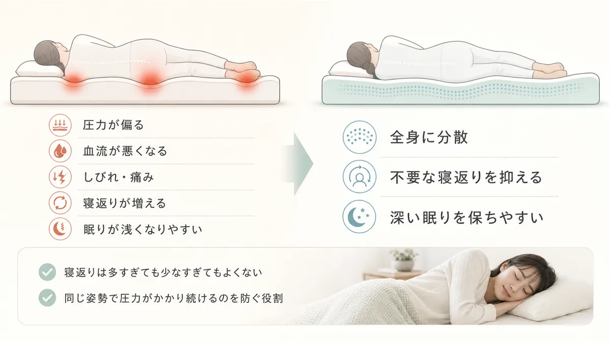 体の重さが全身にバランスよく広がる体圧分散の仕組みと、寝返りの適切な回数について解説します。