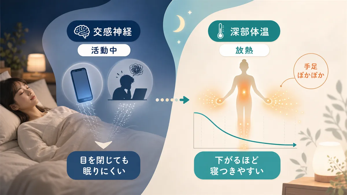 眠りにつくには自律神経が休息モードに切り替わること、そして深部体温がスムーズに下がることの両方が必要です。