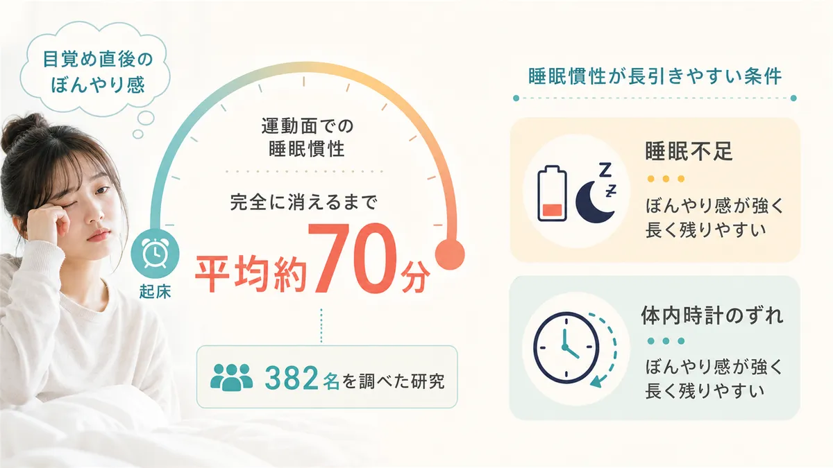 睡眠慣性が長引きやすい条件とは何か、どんな人がとくに影響を受けやすいのかを具体的に紹介します。