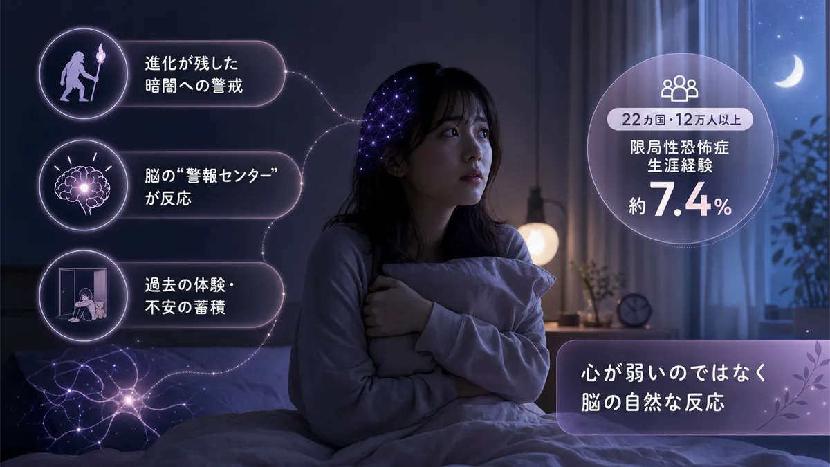 進化が残した「暗闇への警戒」や脳の「警報センター」の反応、過去の体験や不安の蓄積が暗闘恐怖に関わっていることを解説します。