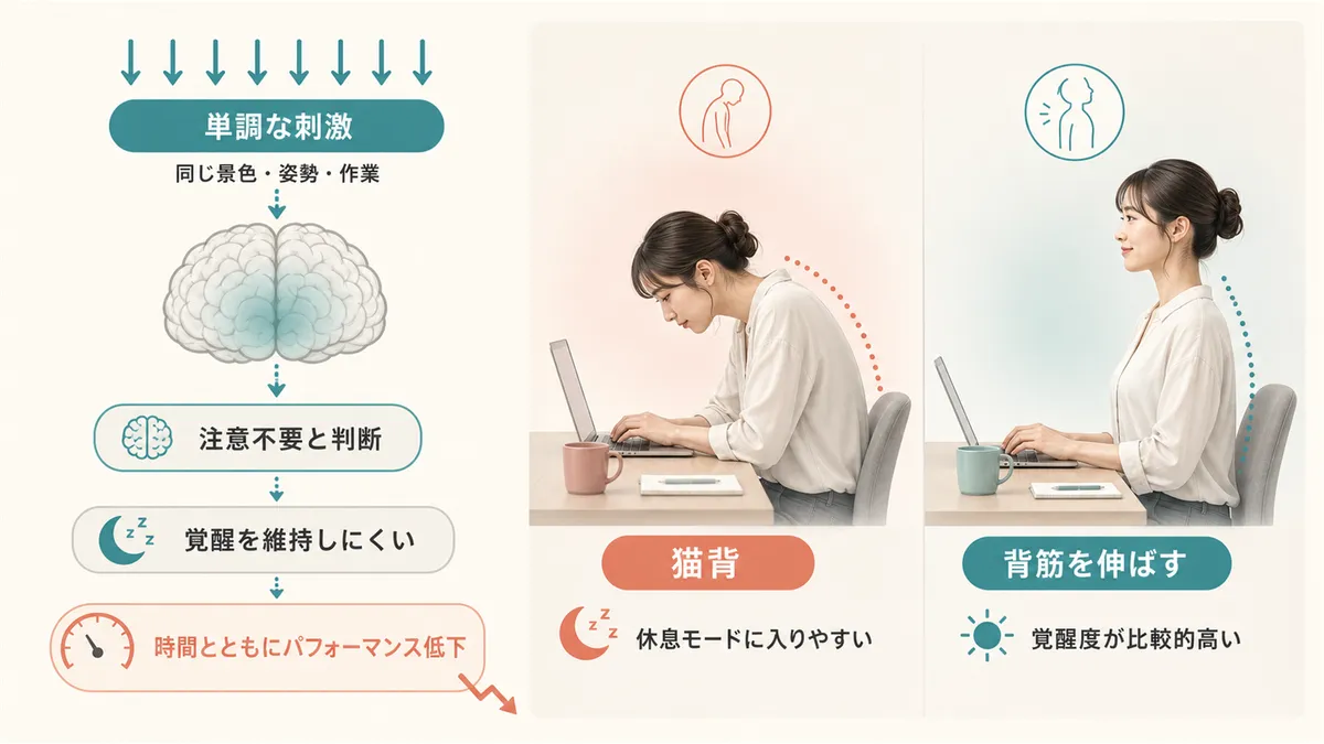 単調な刺激が覚醒の天敵になること、猫背と正しい姿勢で覚醒度がどう変わるかを解説します。