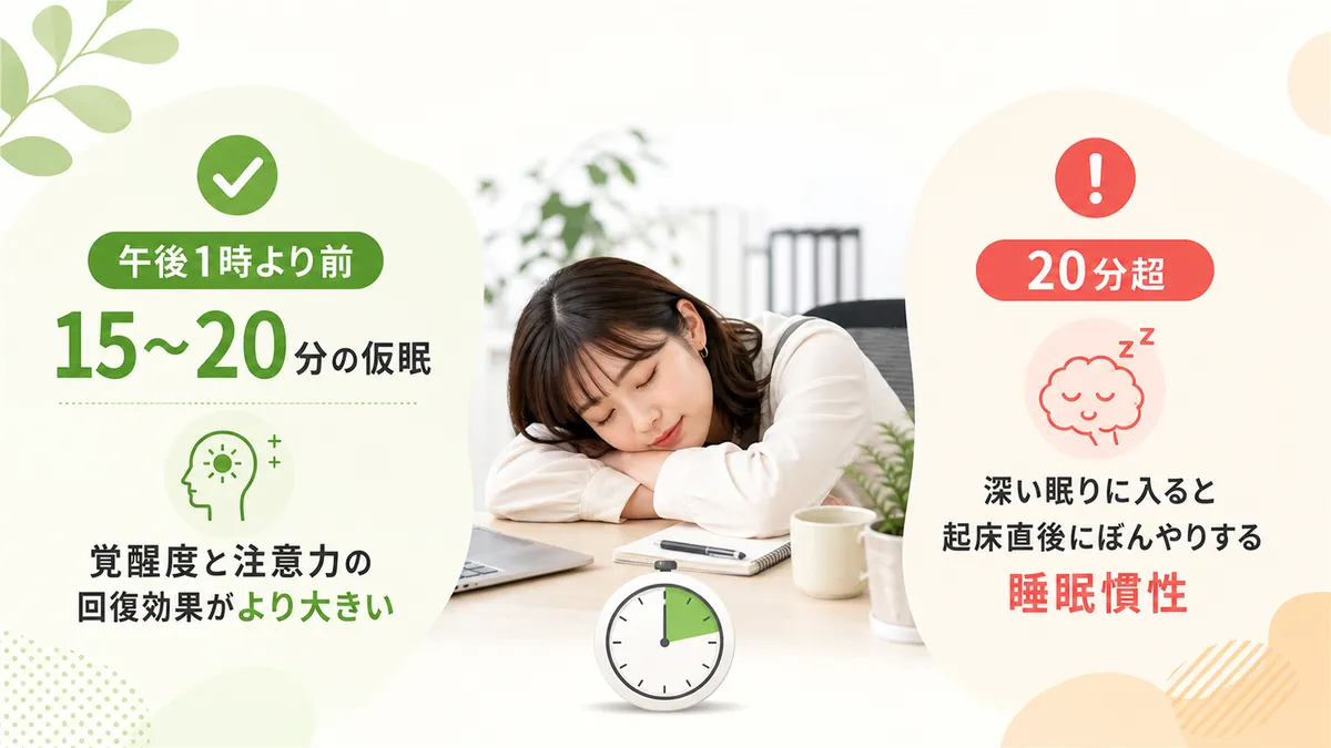 パワーナップの最適な長さとタイミングについて具体的に紹介します。