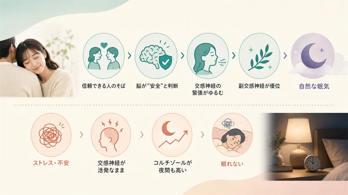 安心感が副交感神経を優位にし、自然と眠気を誘う体の仕組みを解説します。