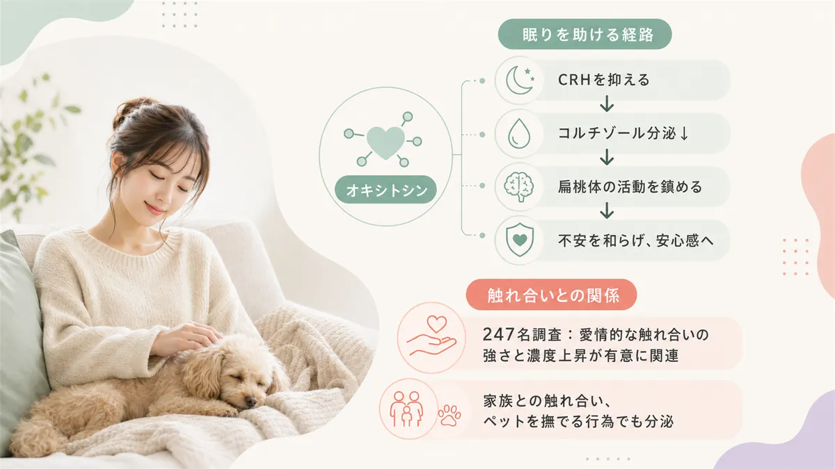 オキシトシンが眠りを助ける3つの経路や、触れ合いとオキシトシンの関係を紹介します。