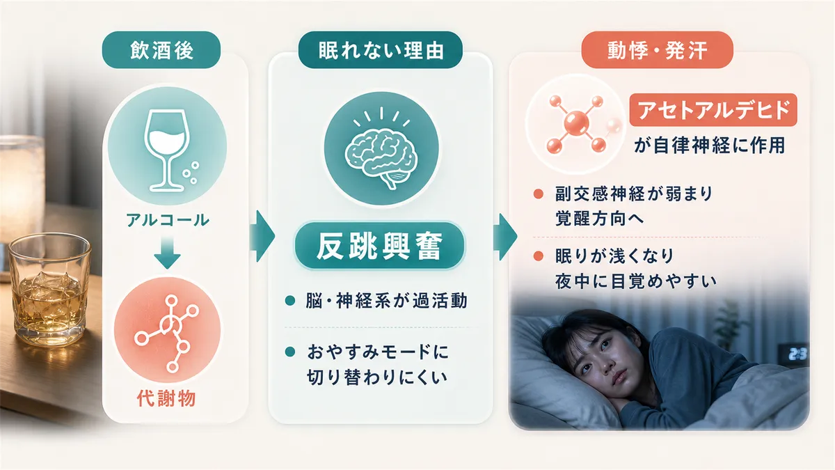 アルコールの代謝物が眠りを妨げる理由や、動悸・発汗が起きる原因を解説します。